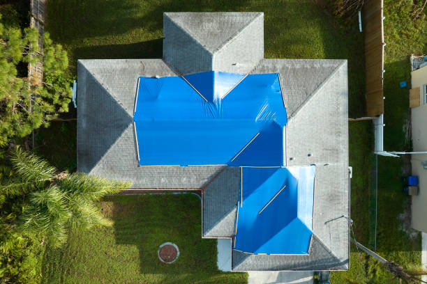 Best Metal Roofing Installation  in Billings, MT